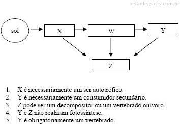 Imagem da questão